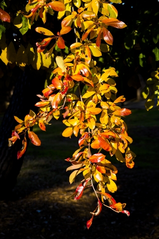 In The SunlightPhotography by David Willis